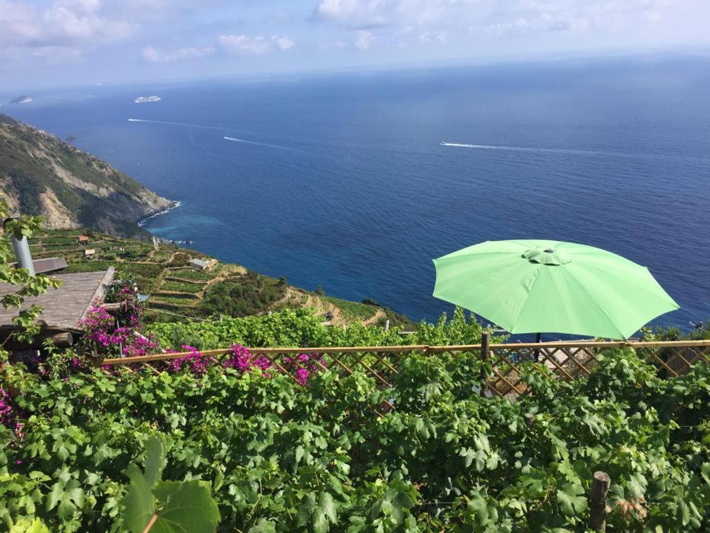 Refuge Uwabio Organic Vineyard Cinqueterre Villa Riomaggiore Ngoại thất bức ảnh