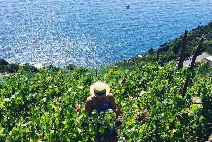 Refuge Uwabio Organic Vineyard Cinqueterre Villa Riomaggiore Ngoại thất bức ảnh