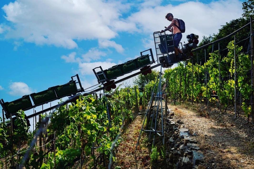 Refuge Uwabio Organic Vineyard Cinqueterre Villa Riomaggiore Ngoại thất bức ảnh